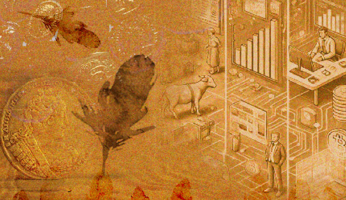 The evolutionof savin g money